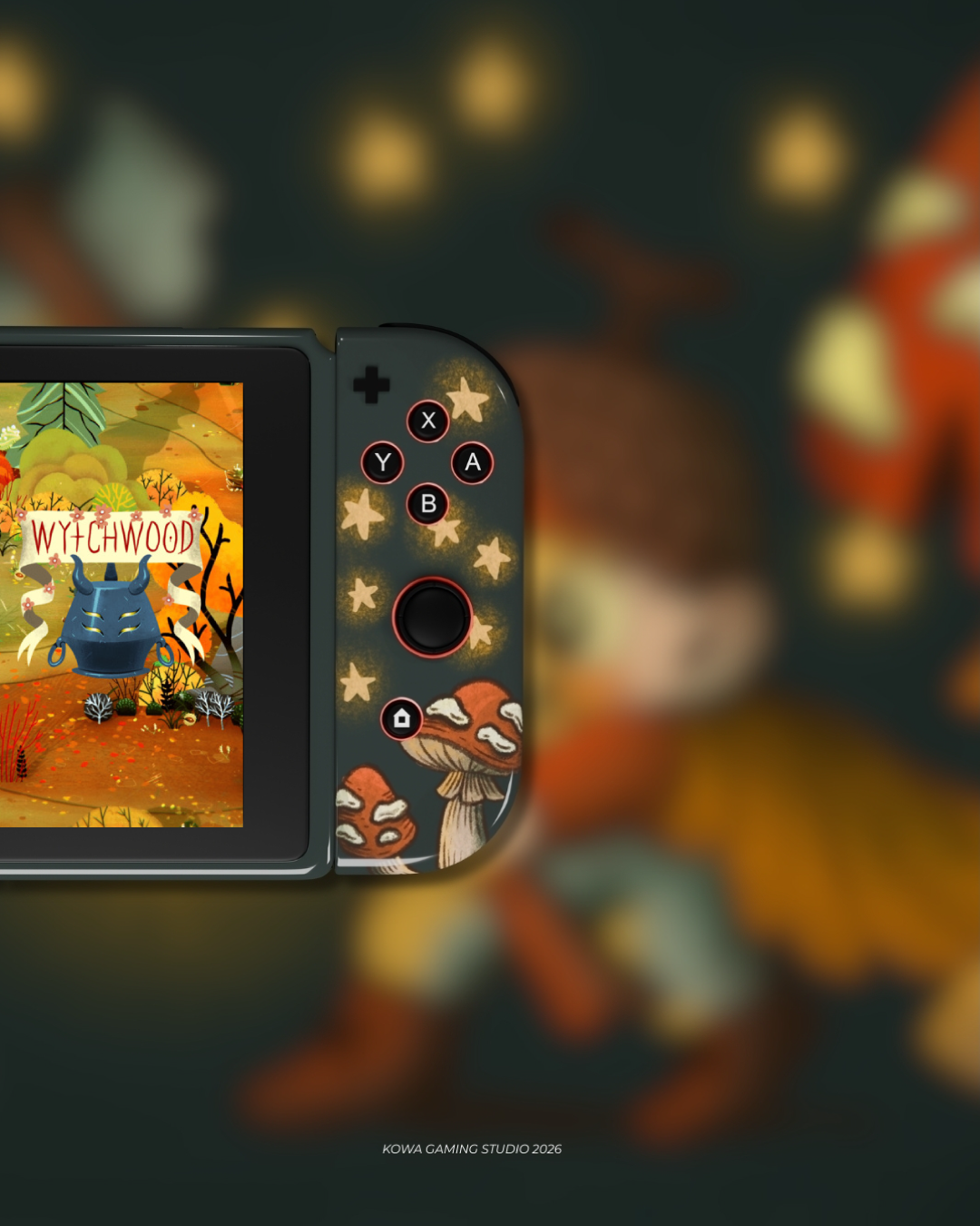 KOWA X BOWIEN SWITCH CASE